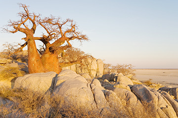 博茨瓦納帕拉佩機(jī)場(chǎng)三字代碼(QPH),帕拉佩機(jī)場(chǎng)(Palapye airport)四字碼,博茨瓦納機(jī)場(chǎng)三字碼查詢